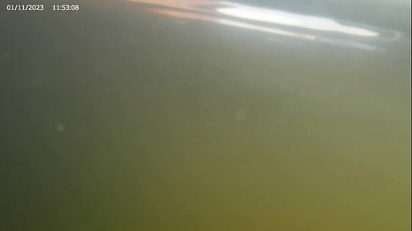 loira gostosa faxina sua casa pelada