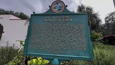 SUCK MY BALLS : TAOS, NM TO SAINT AUGUSTINE, FL // PART 14 // THE MOVIE