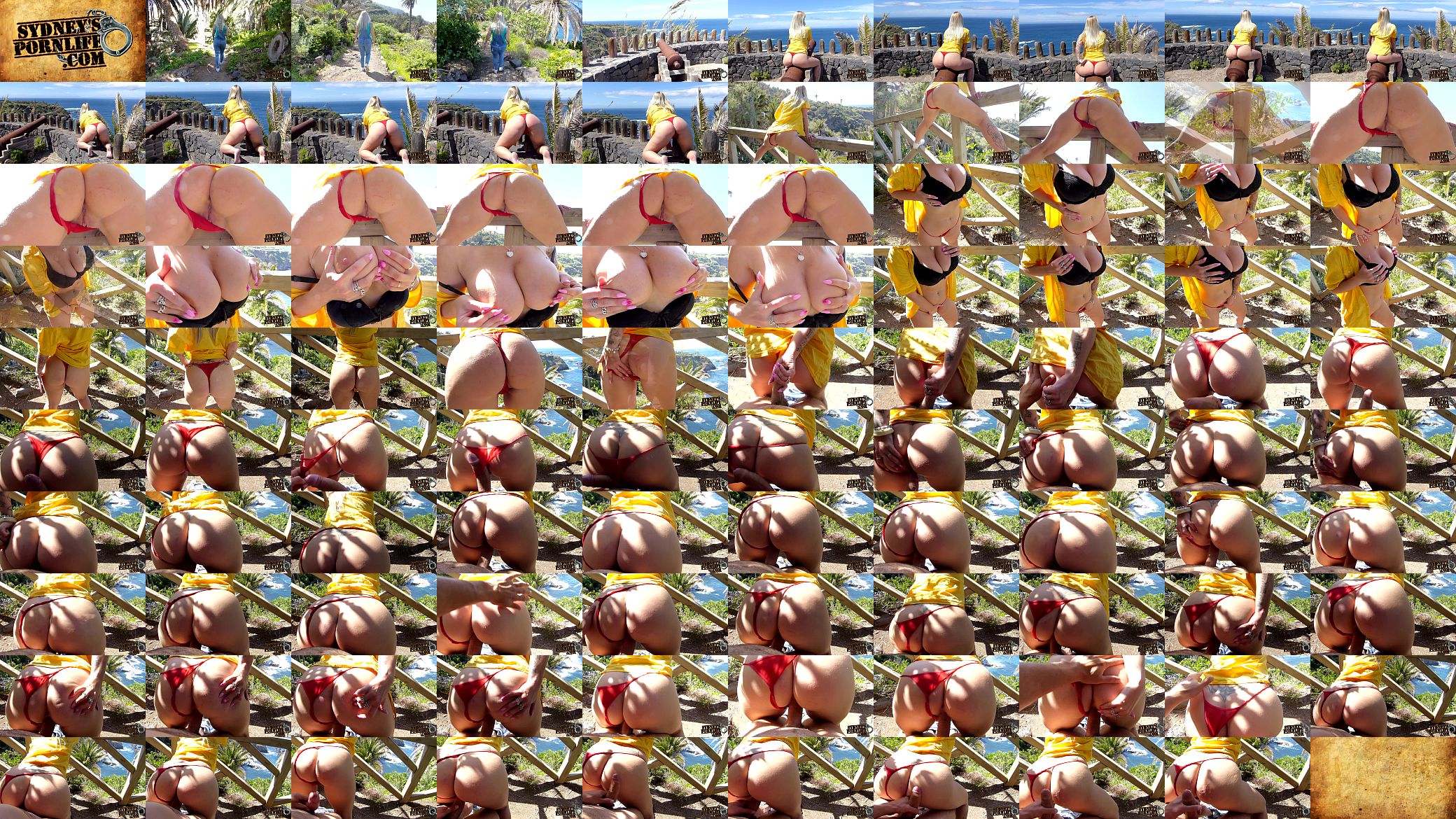 I Almost Got Pregnant On This One! 预览图