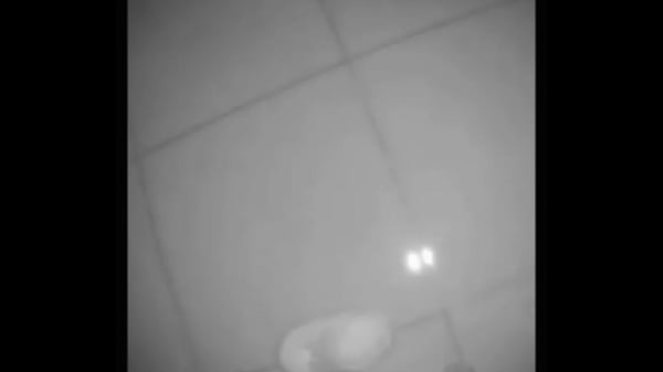 WIFE ACTUALLY GOT STUCK IN THE WASHING MACHINE!!!