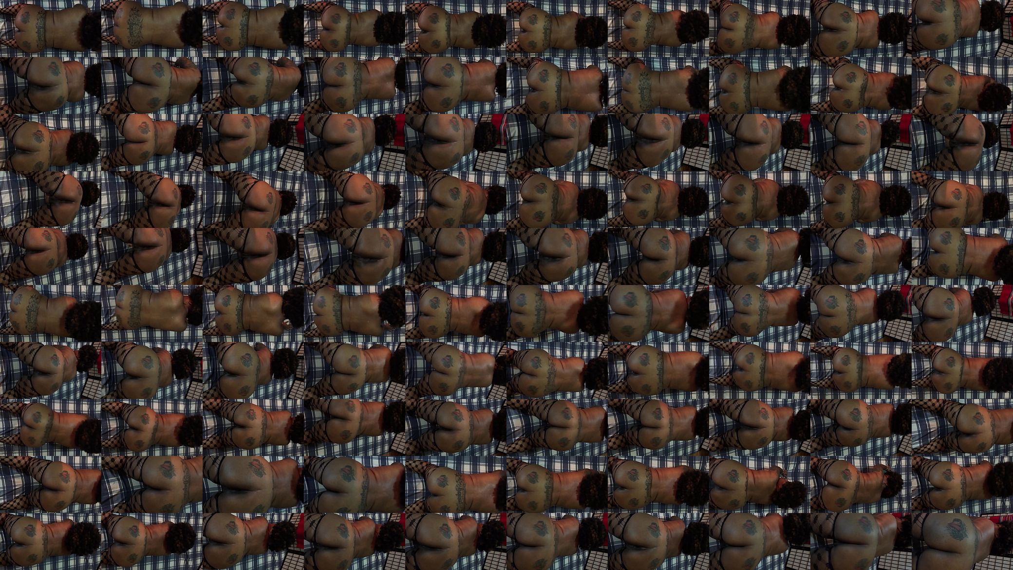 Hazelnutxxx 预览图