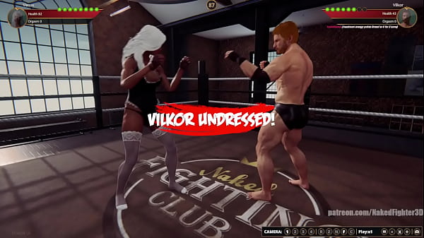 Venus VS Terms (Naked Fighter 3D)