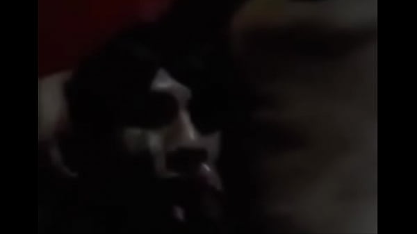 Riche Pipe De Cette Chienne