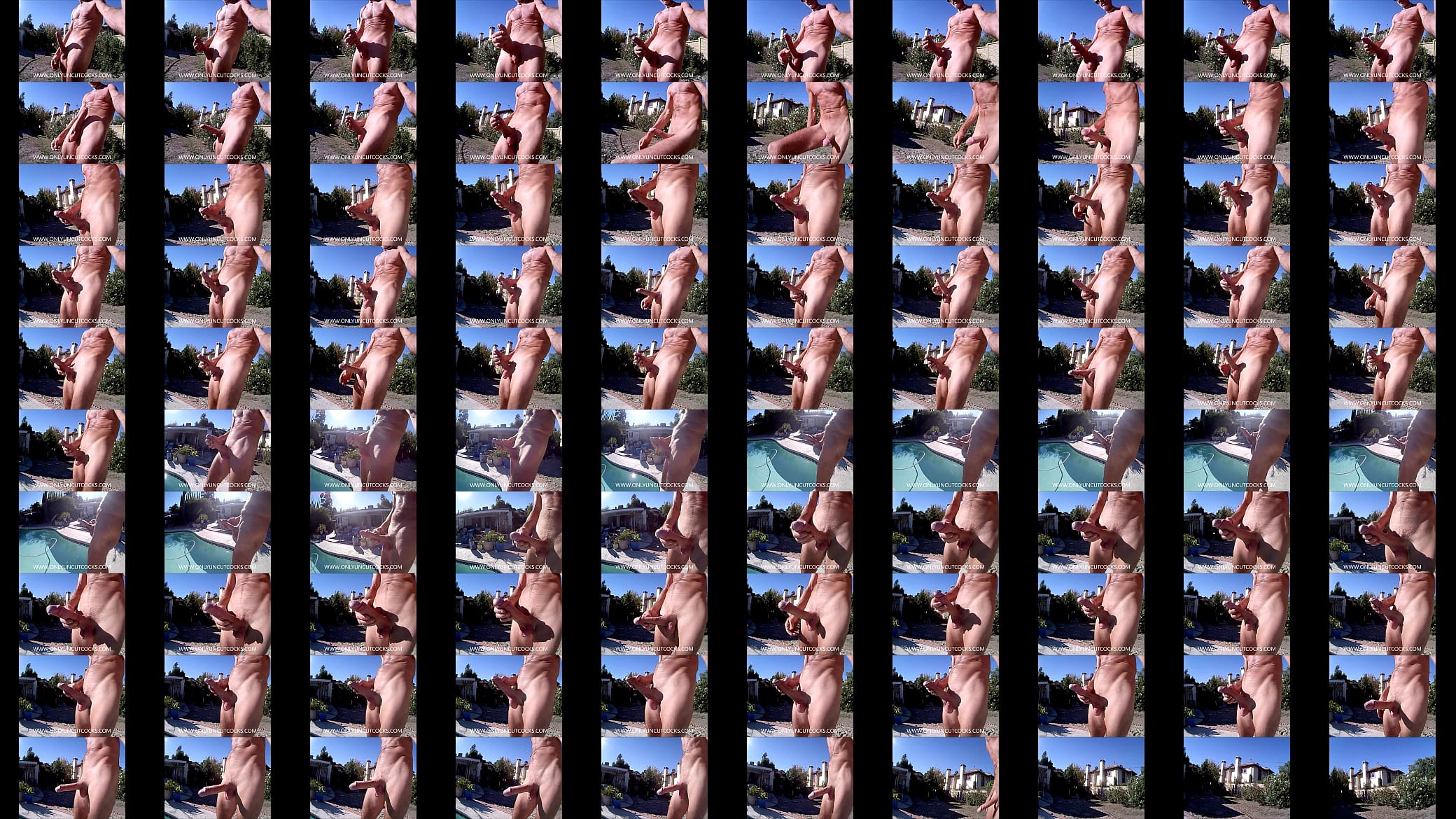 Cumming In The Pool 预览图