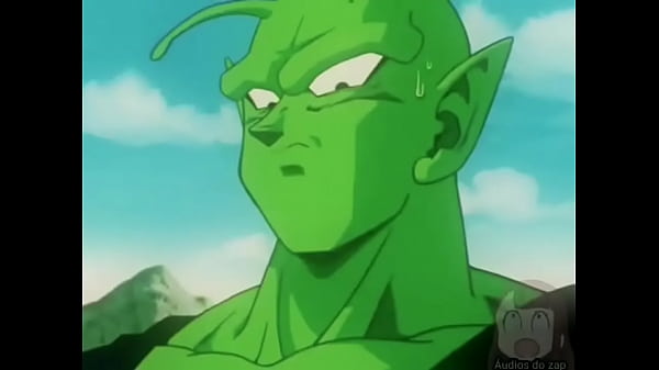 V&iacute;deo de verifica&ccedil;&atilde;o