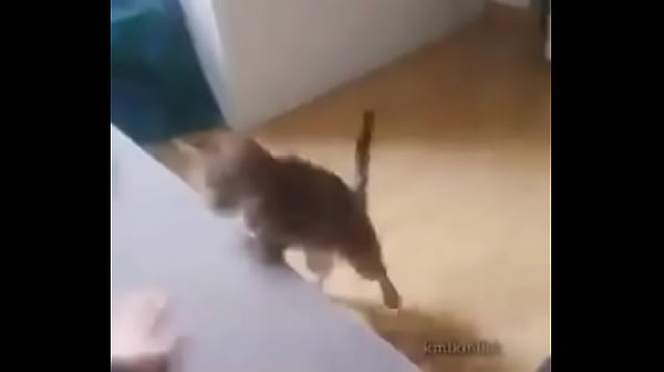 COLEGIALA BLANCA SE DEJA FOLLAR POR PIURANO POR 100 SOLES (final feliz)