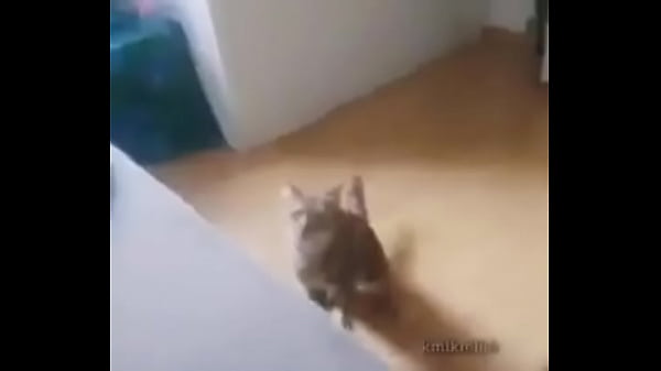 WHITE GETS FUCKED BY PIURANO FOR 100 SOLES (happy ending)