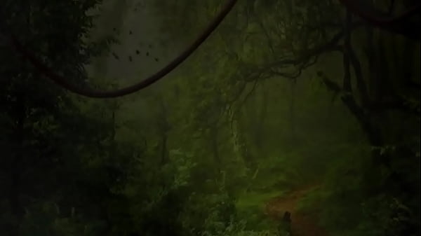 Teaser: Isabella Del Rio in "Amazon Bangforest"