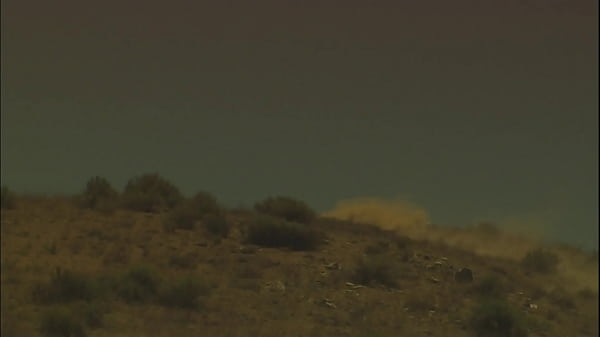 Ever morning, he gets treated to a rub down right by his pool as the sun beams down in the...