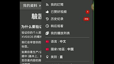 验证视频