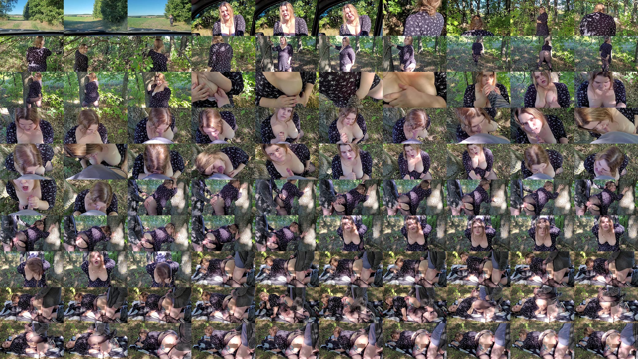 Cute horny traveling companion fucks a stranger in the woods in all her holes and sensually sucks his cock while masturbating her pussy 预览图