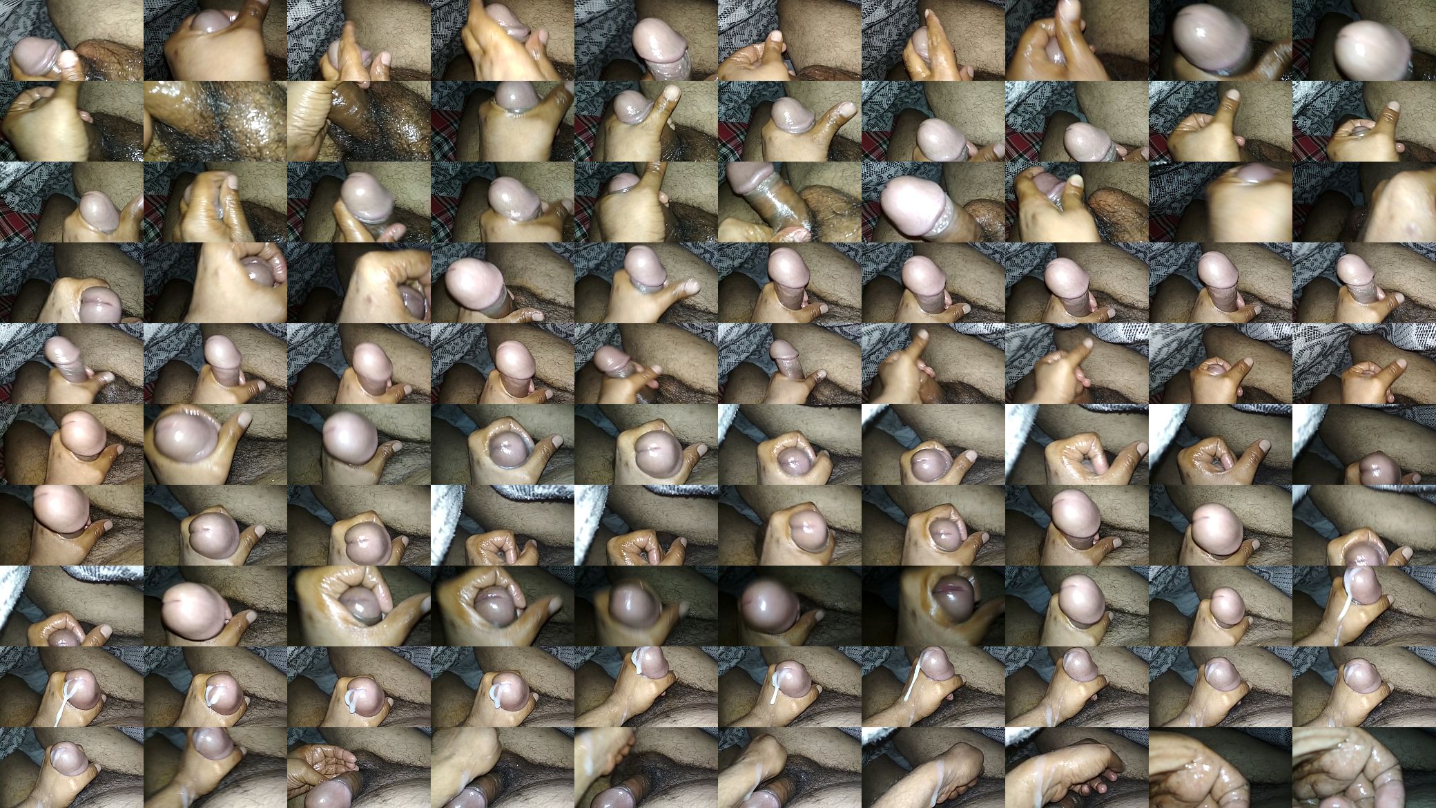 World best black penis 预览图