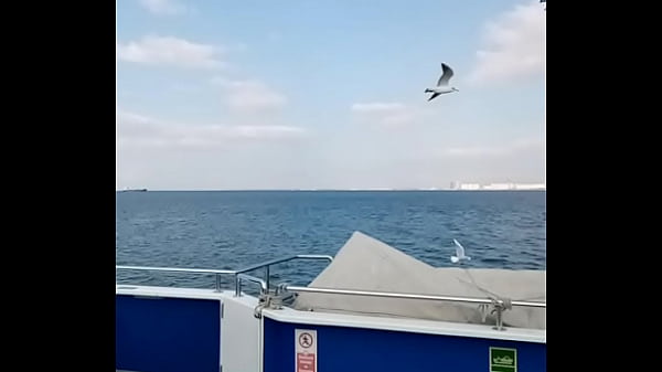 Doğrulama videosu