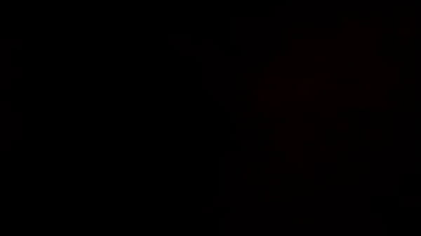 Vidéo De Vérification