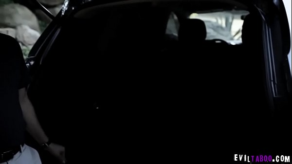 Horny teen student Aubrey Sinclair likes to have a fuck and driving lessons so she do it both with her driving instructor Brad Knight.