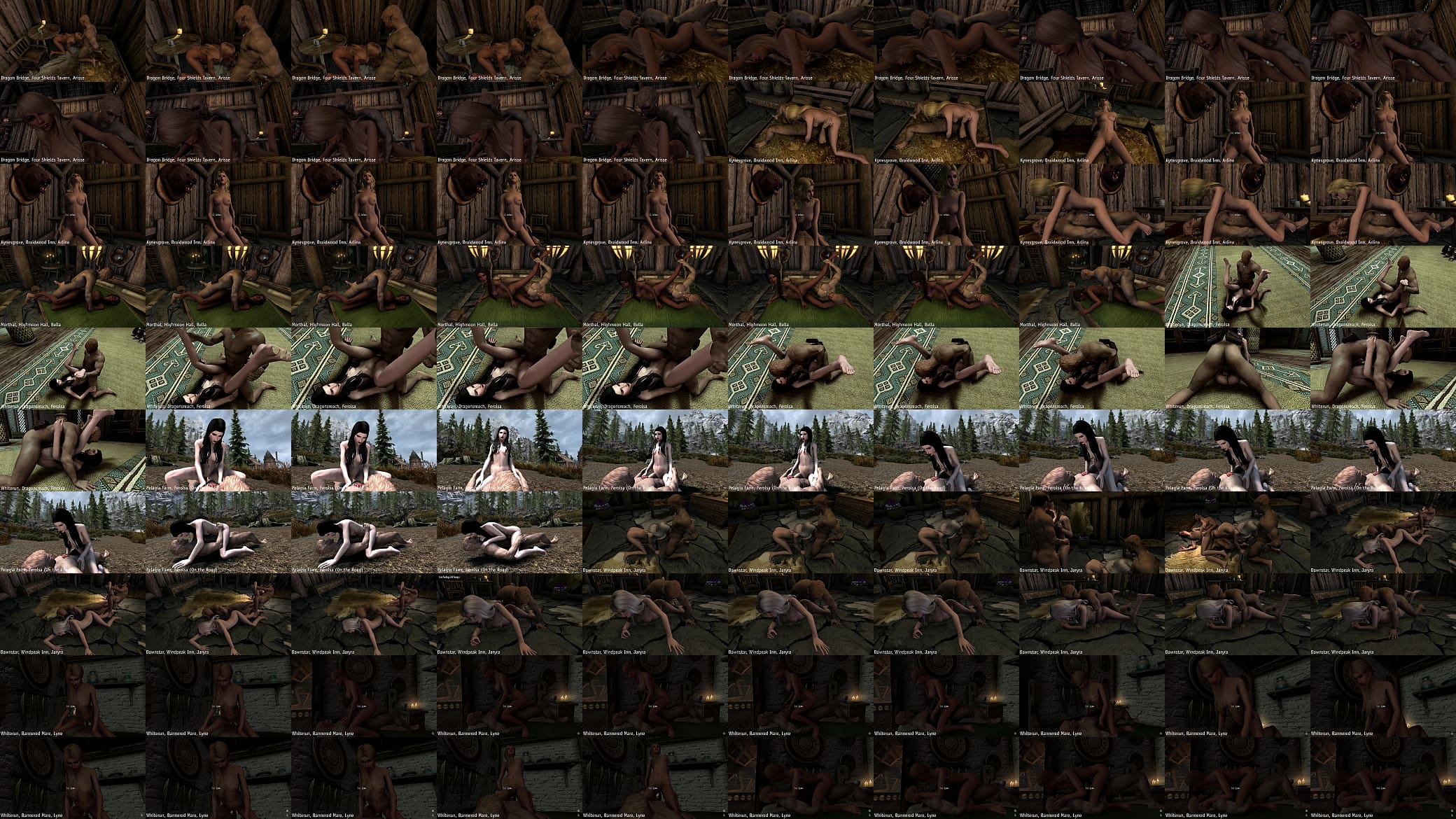 Skyrim Sexlab HPNPCO Wenches Visited Part 2 预览图