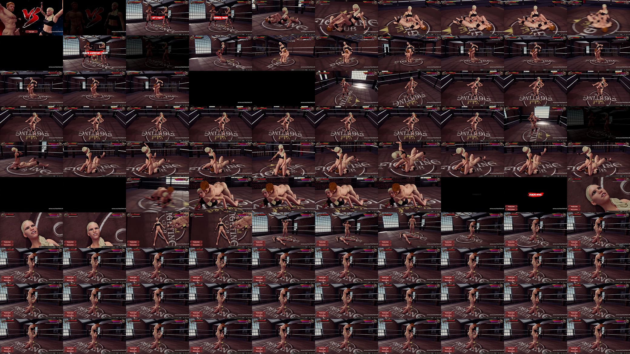 Vilkor VS Oryx (Naked Fighter 3D) 预览图