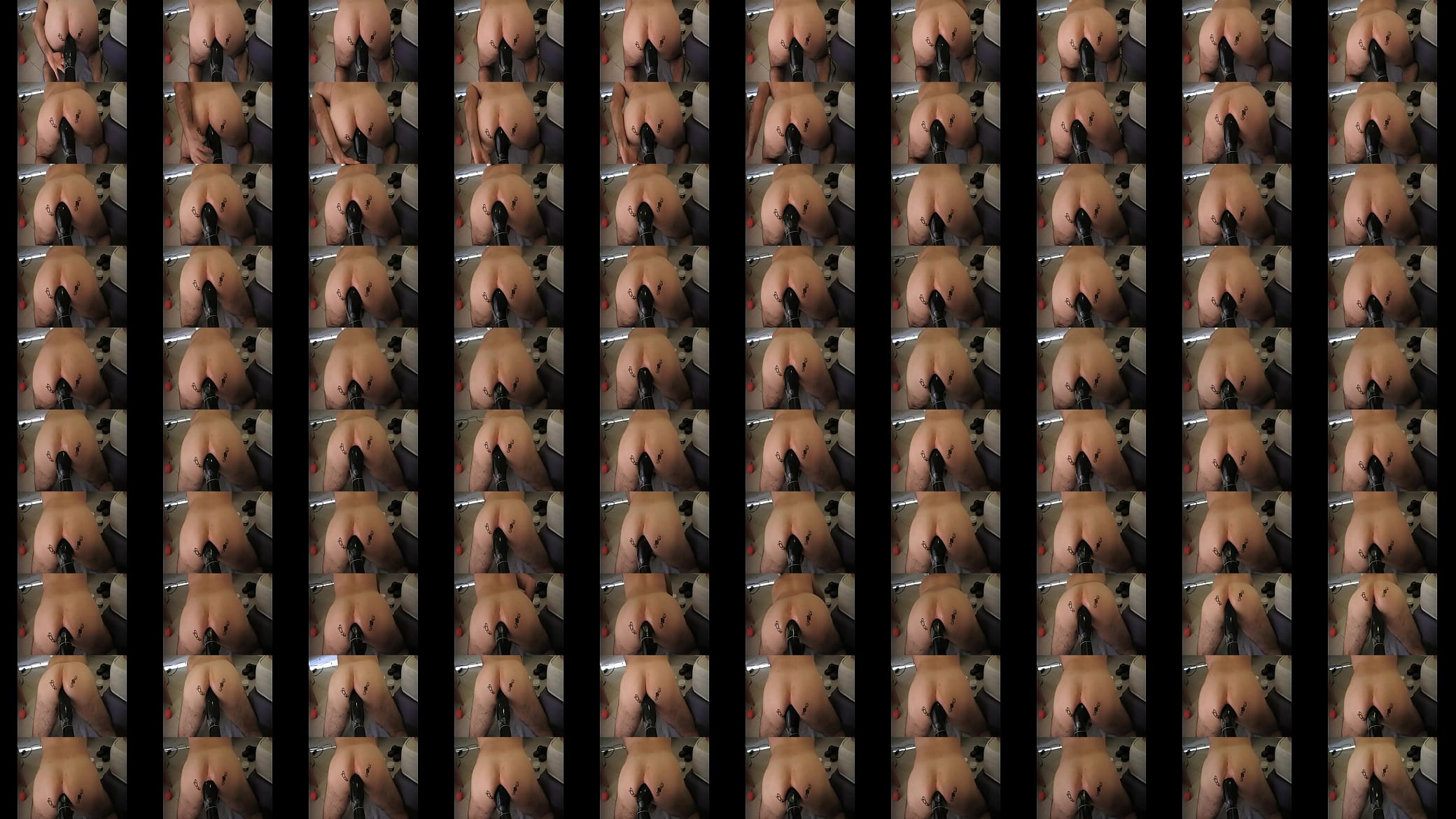 Large Goose Didlo Anal 预览图