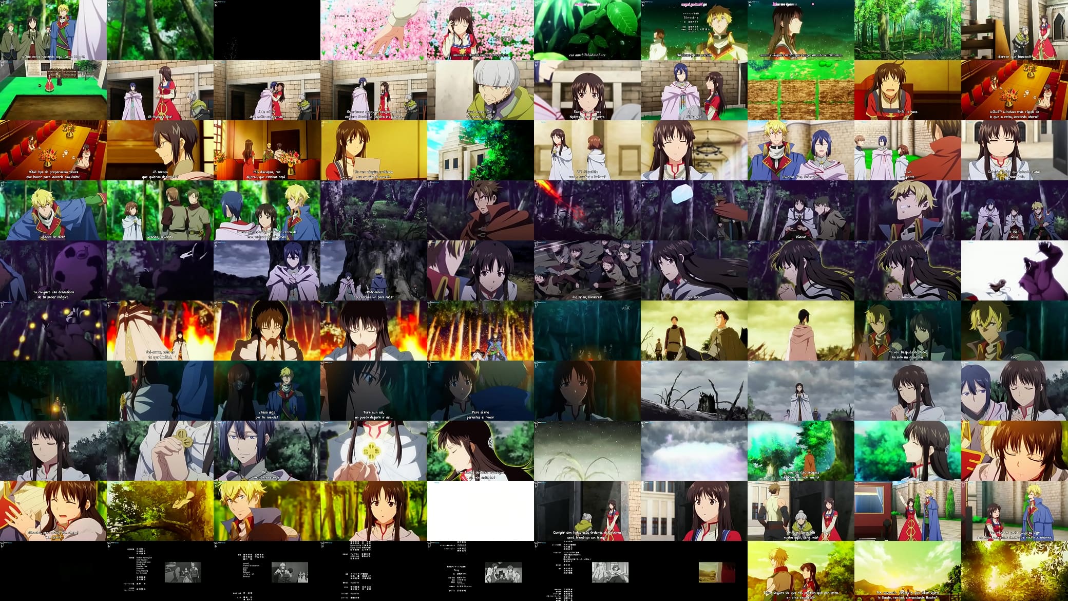Seijo no Maryoku wa Bannou Desu cap 12 sub final 预览图