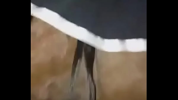 Me encanta coger con mi puticomadre