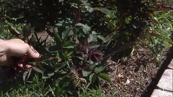 Tori Lane's POV Pounding