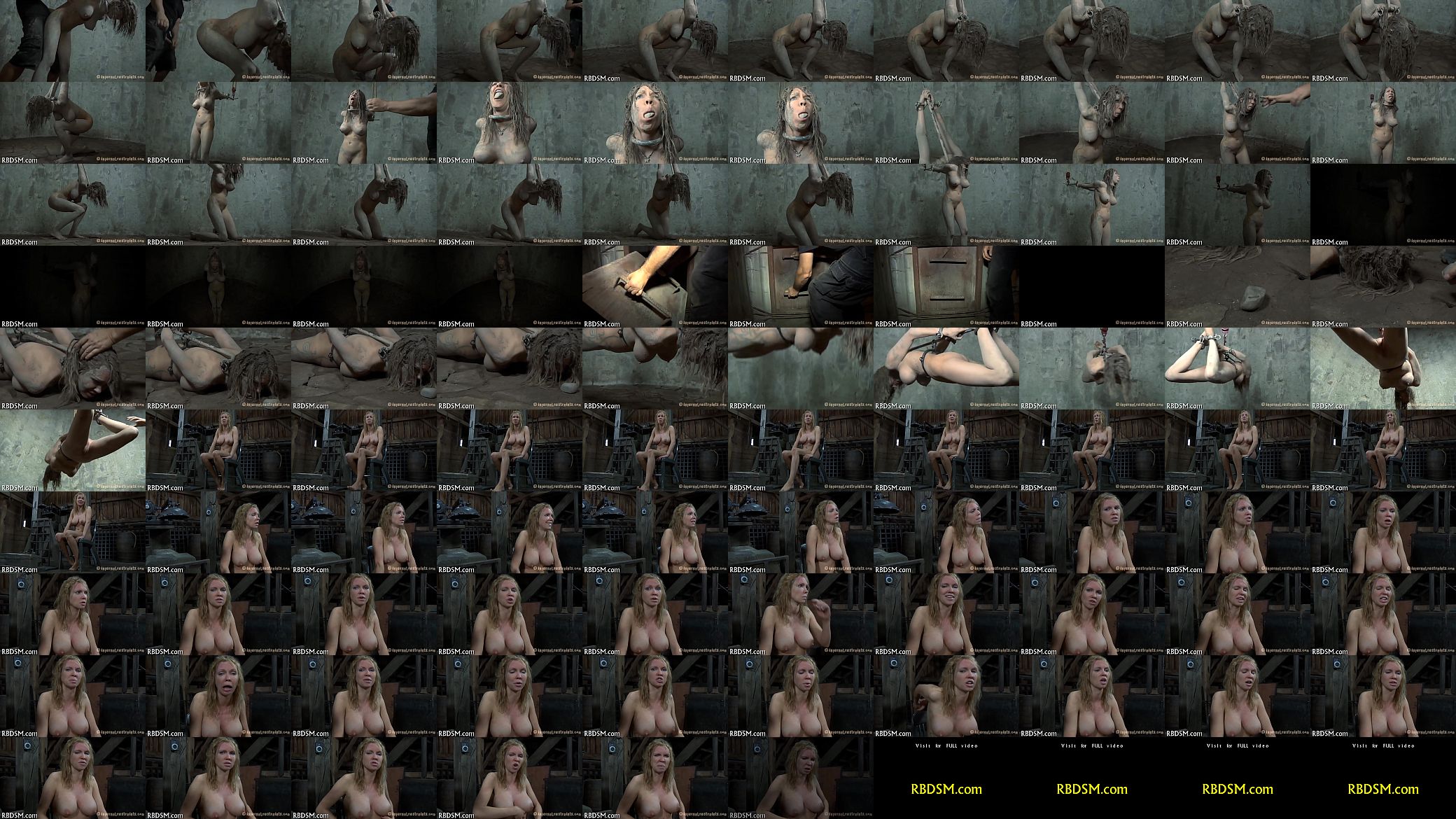 Zealous sex-toy action for playgirl 预览图