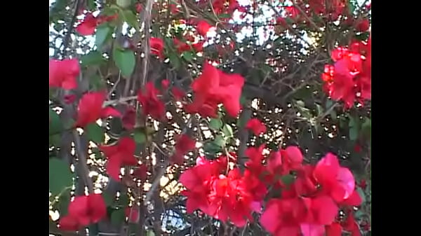 Kylie Haze Takes A Huge Black Cock Up Her Little White Hole