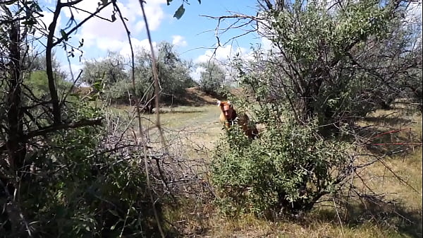 Savannah Vixen