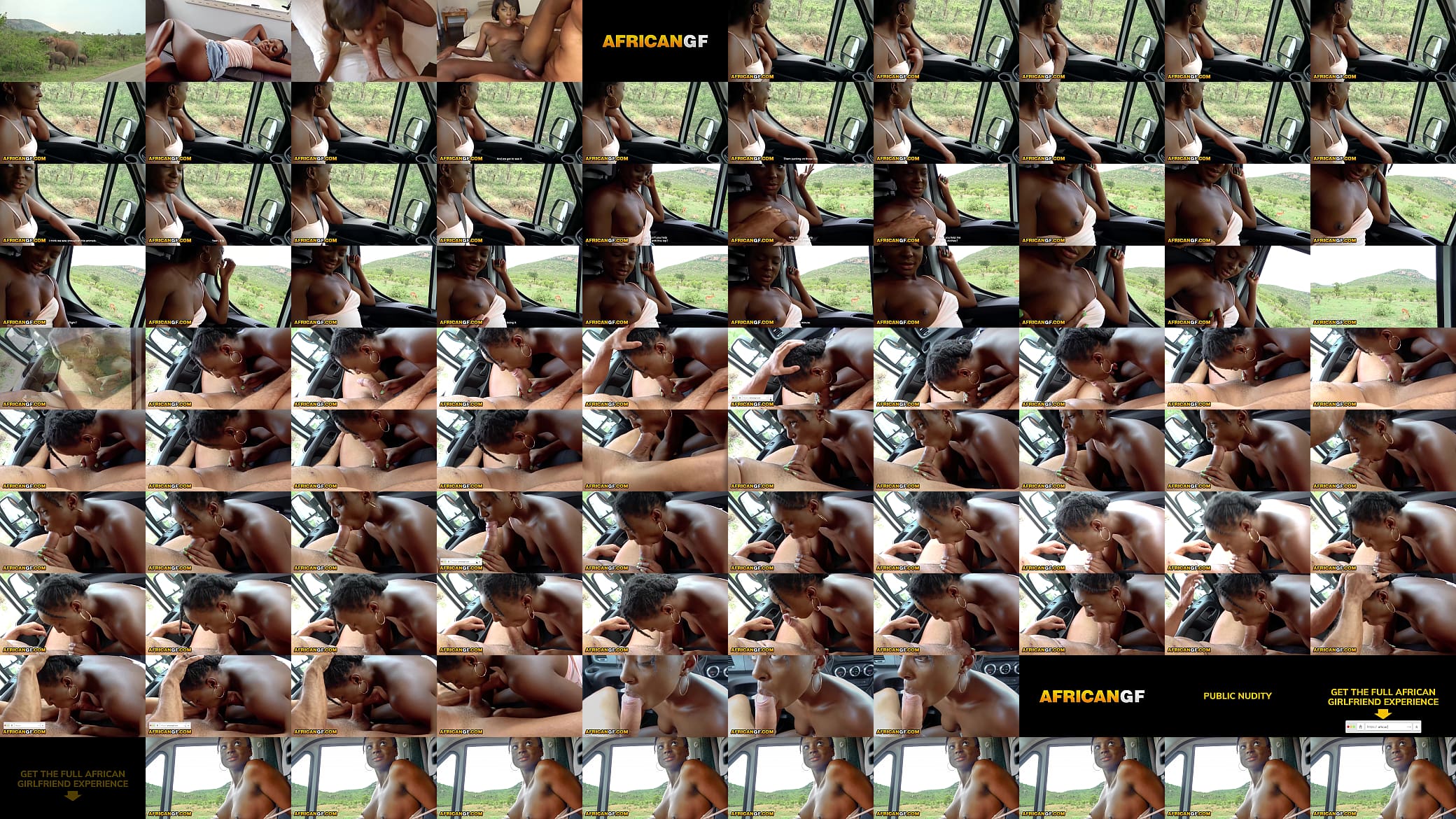 Safari Trip With My Ebony Babe Makes Her Horny And Eager To Suck My Cock And Swallow While I Watch The Wilderness 预览图