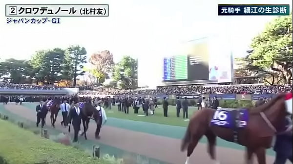 みんなのKEIBA-2025年11月30日-ジャパンカップ-GI-世界最強馬vs豪華日本勢-村竹ラシッド