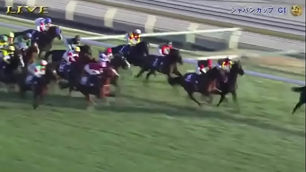  みんなのKEIBA 2025年11月30日 ジャパンカップ GI 世界最強馬vs豪華日本勢 村竹ラシッド