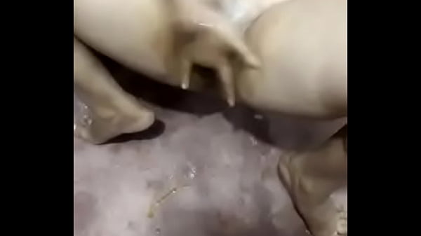 pakistani sex scandals