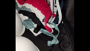 My sister-in-law's bras