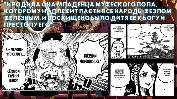 Ван Пис Теория Автор хз кто