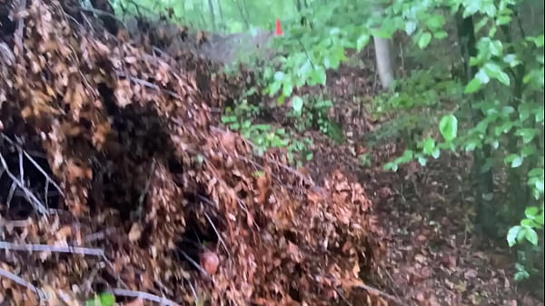 Download Video - This is Crazy&excl;