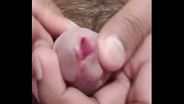 Deidara279 - update #13 - Does It Look Like A Pussy - Jan 11, 2026