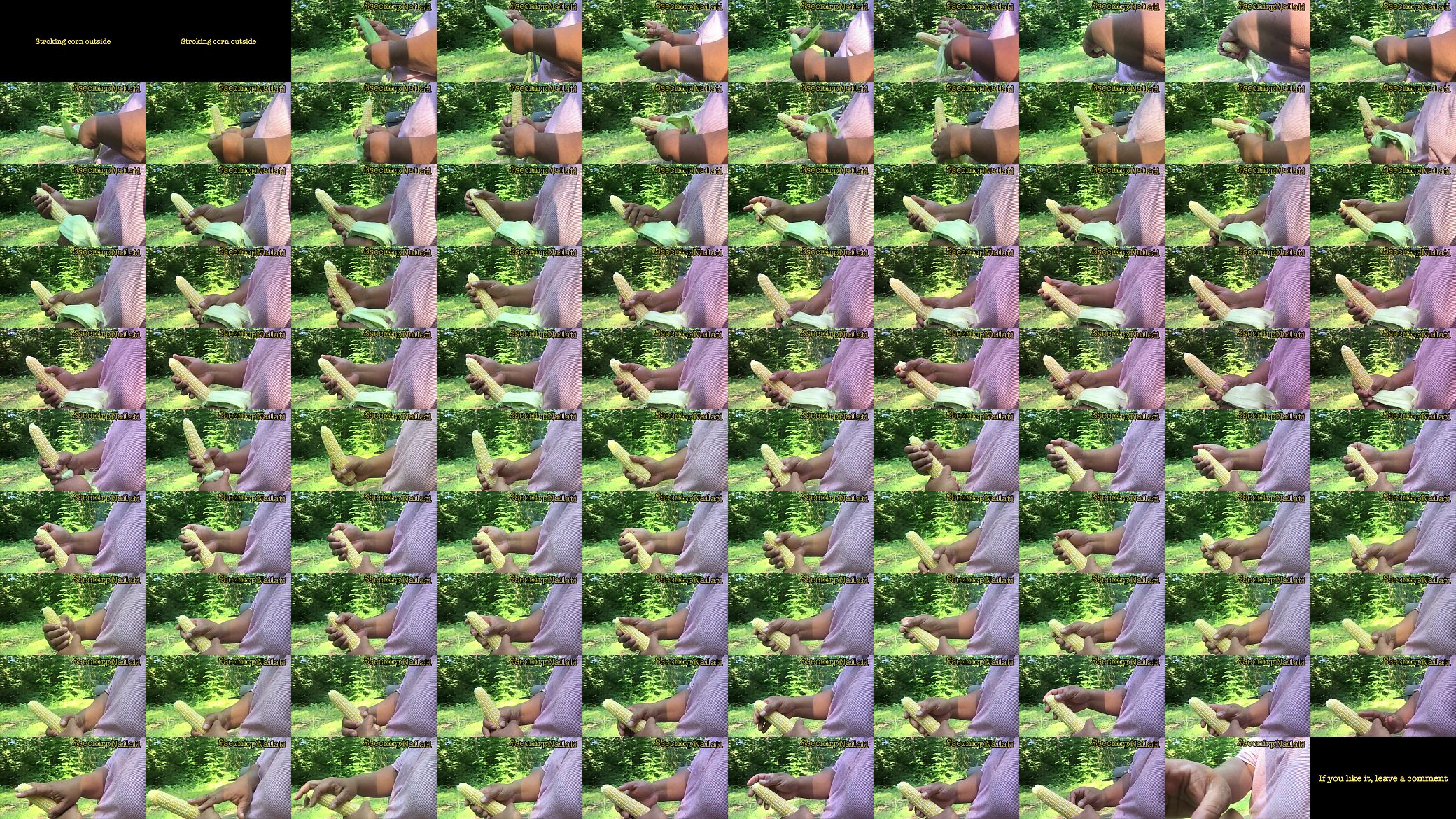 Chucking corn 预览图