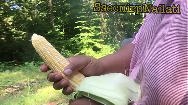 Download Video - Chucking corn