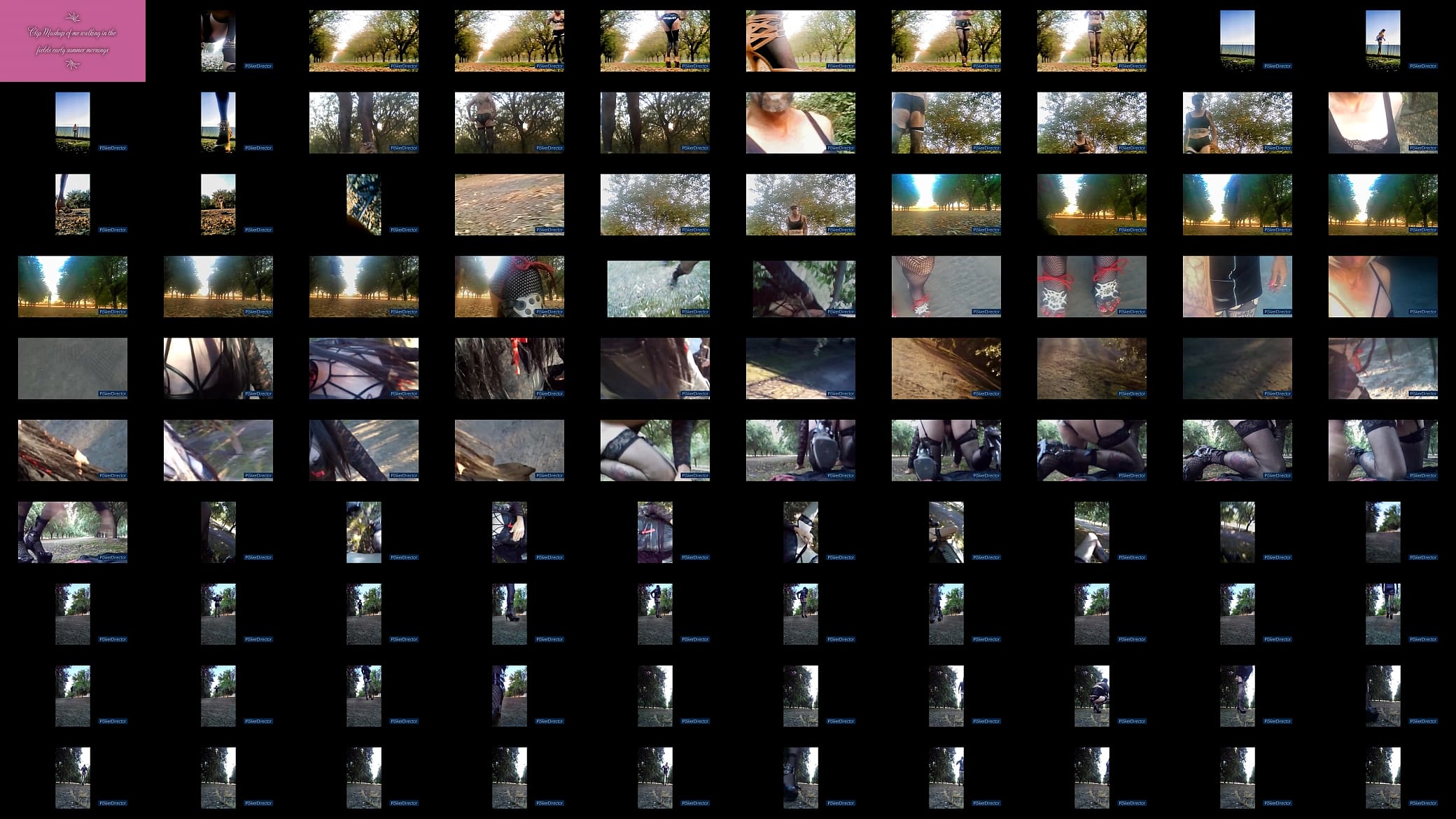 short clips mash up&#039;s early morning walks 预览图