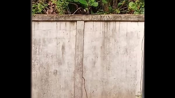 Macaquinha safada é comida de 4 por macacão preto nos mato