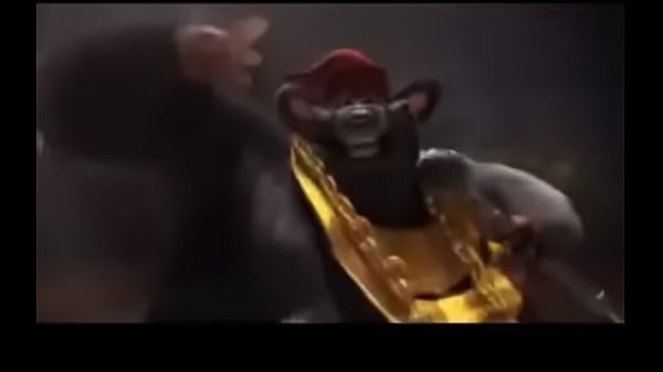 Rata gorda tirando la lírica insana