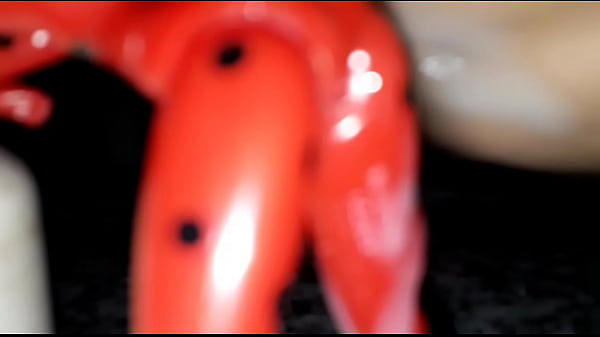 Download Video - Ladybug figure