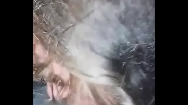 blowjob ending