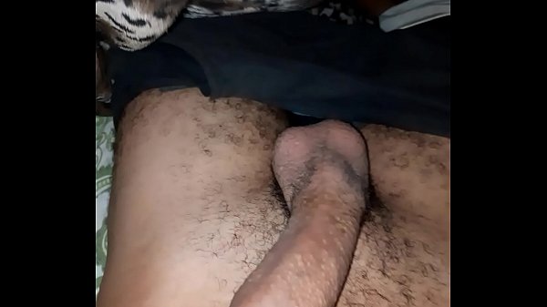 Punheta no pau lindo