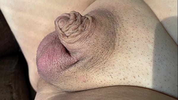 Download Video - Showing my shrimp dick and playing with it