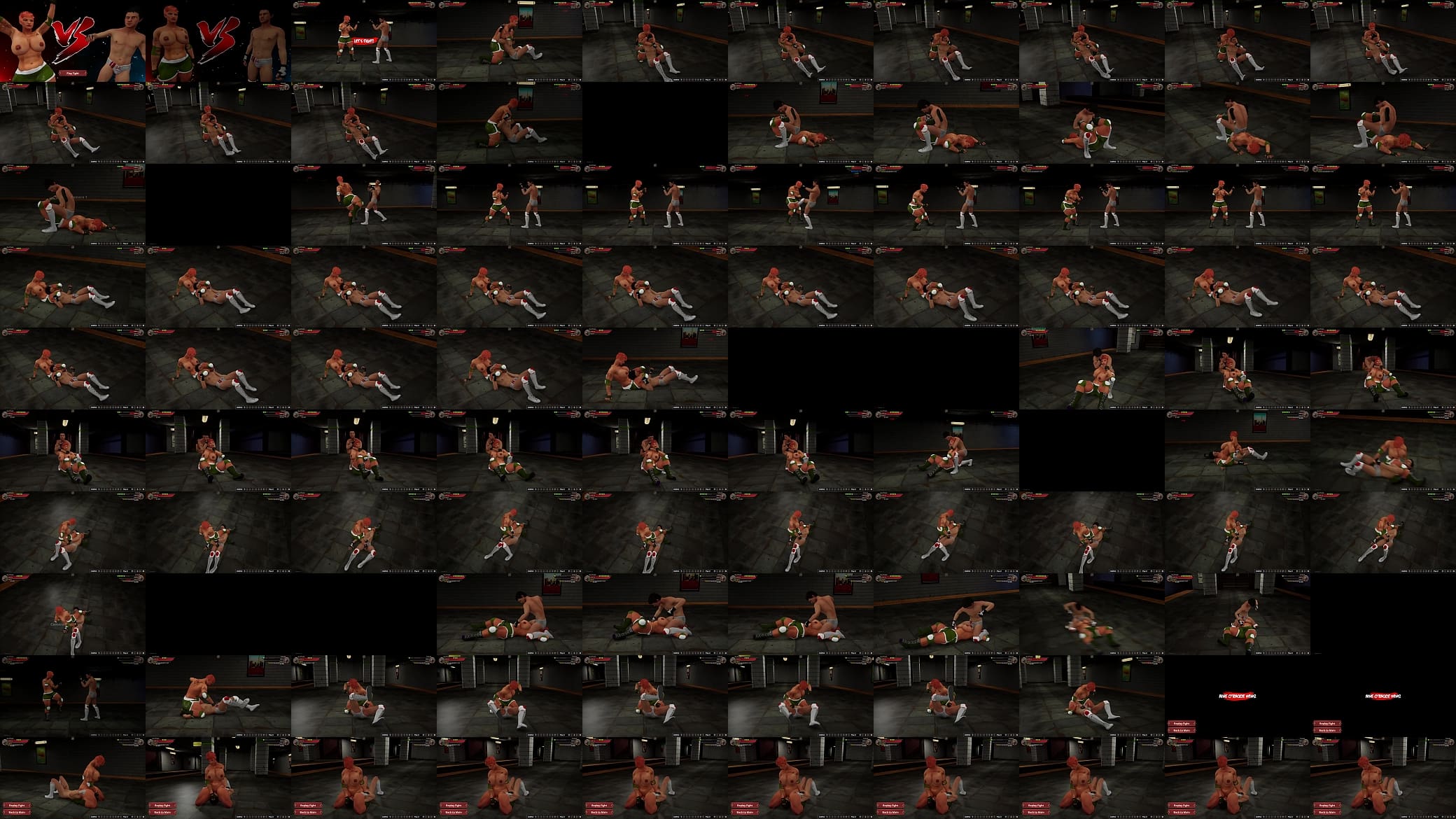 Aine O&#039;Rackie VS Yu Kawaii (Naked Fighter 3D) 预览图