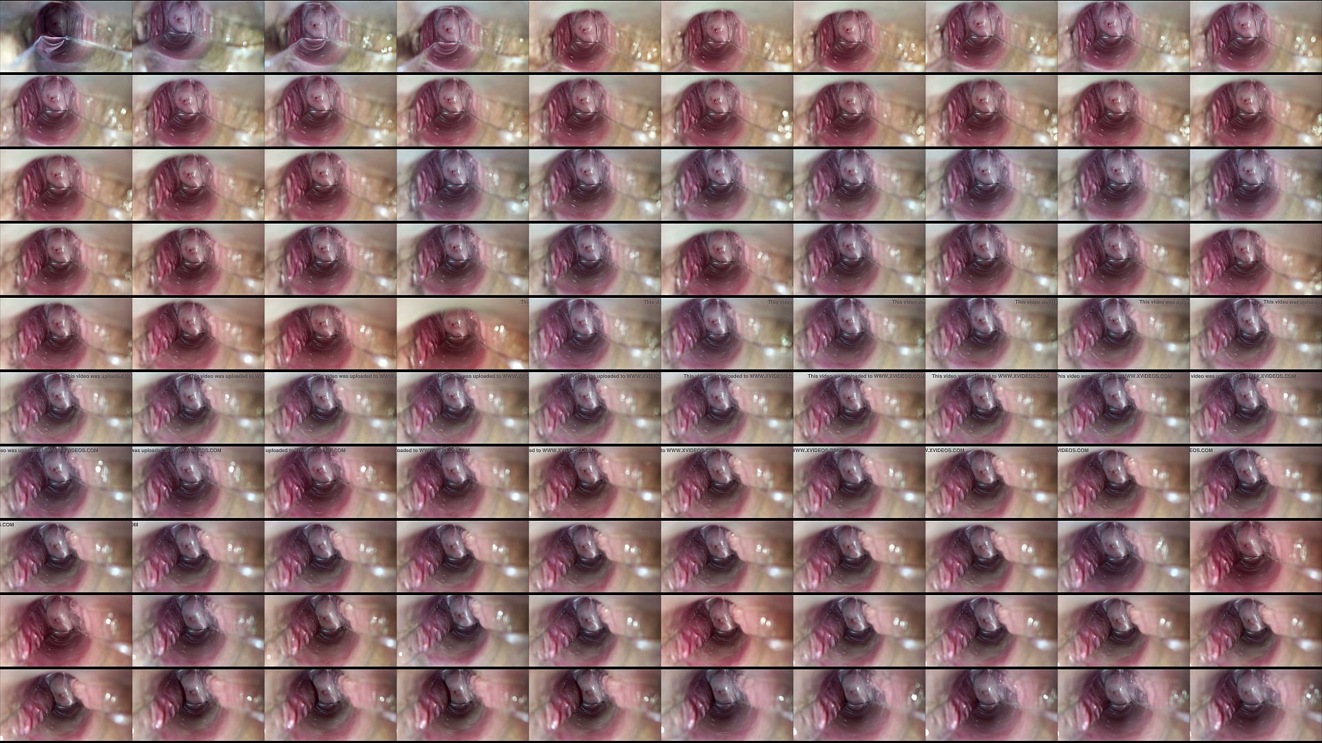 pulsating orgasm inside vagina 预览图