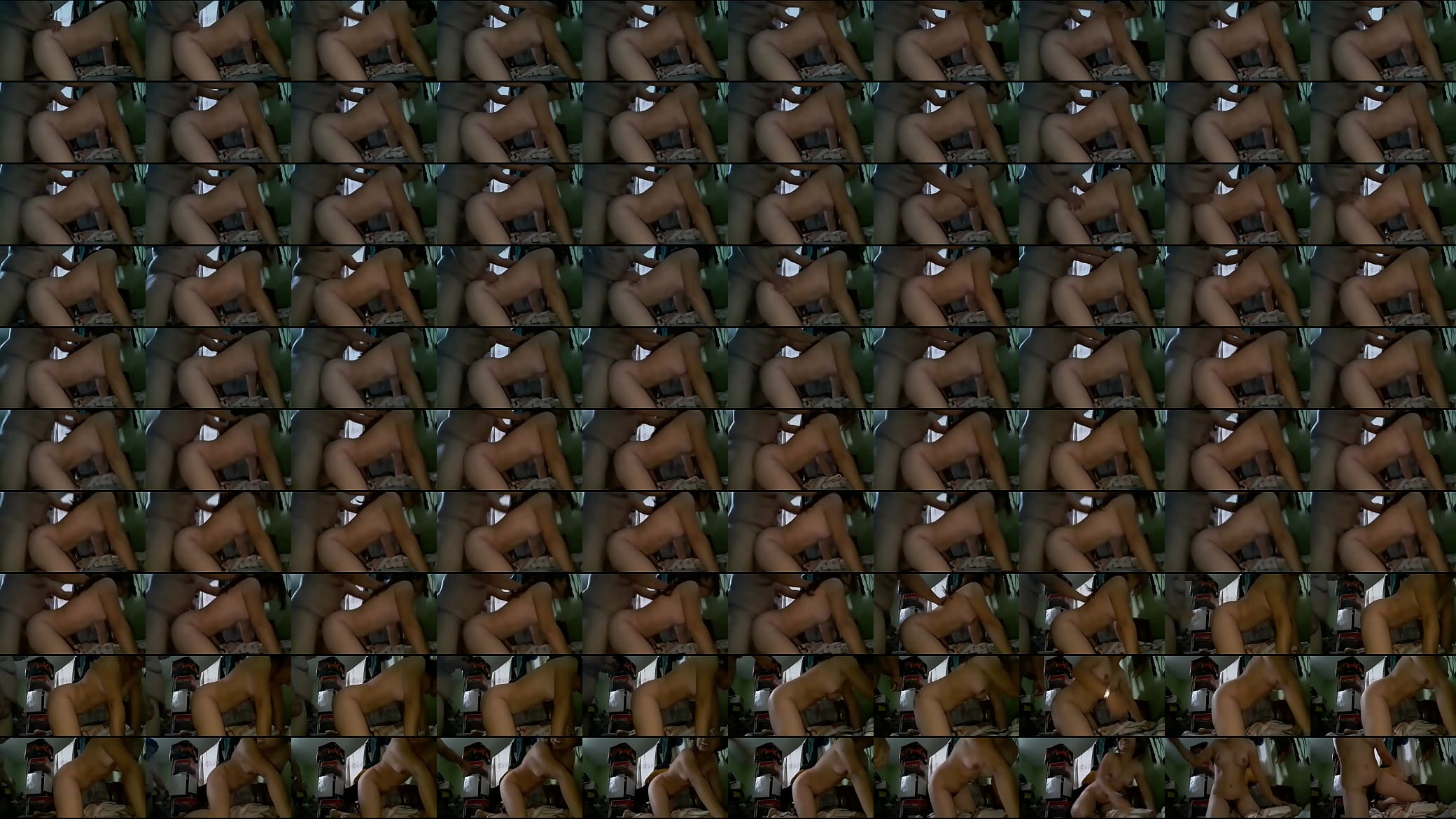 como goza en 4 patas 预览图