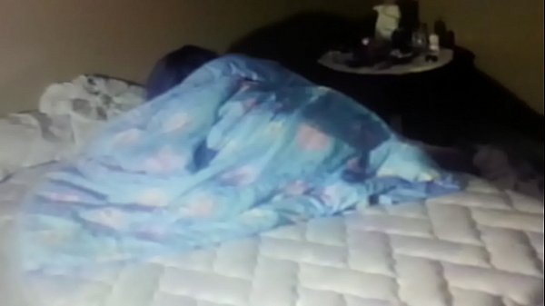 Pris Meilleurs Amis Mangeant Eachothers Chatte 69