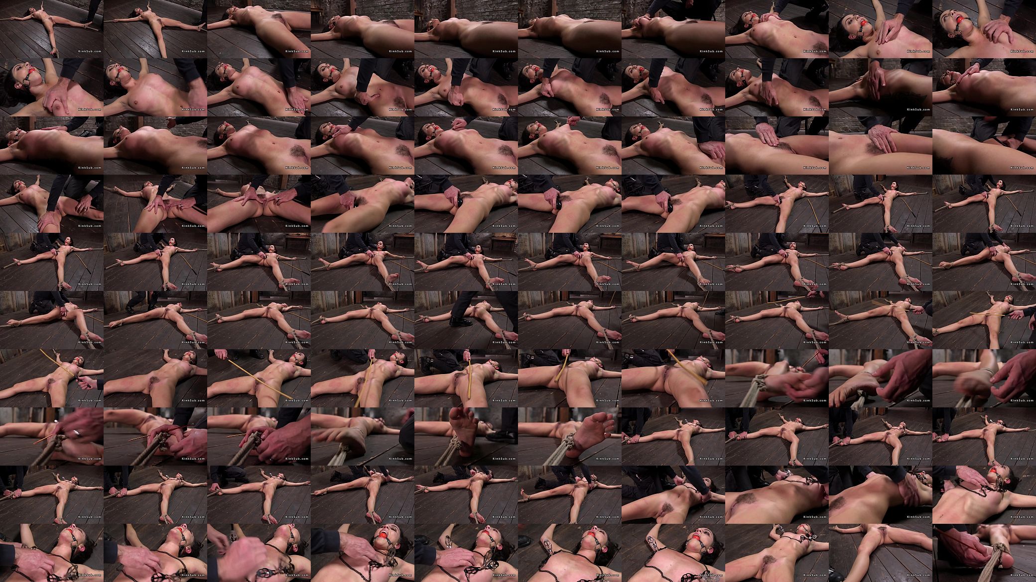 Brunette slave whipped on the floor 预览图
